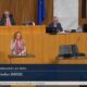 Fiona Fiedler am Rednerpult des Österreichischen Nationalrates