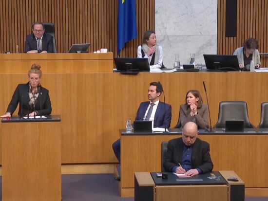 Fiona Fiedler hält eine Rede im Nationalrat, auf der Regierungsbank hören Christoph Wiederkehr (NEOS) und Claudia Plakolm (ÖVP) zu.